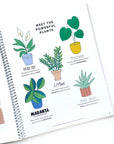 Mindful Lettering for Fun Kit: Plant Edition