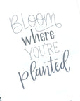 Mindful Lettering for Fun Kit: Plant Edition