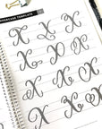 Guide to Flourishing Kit