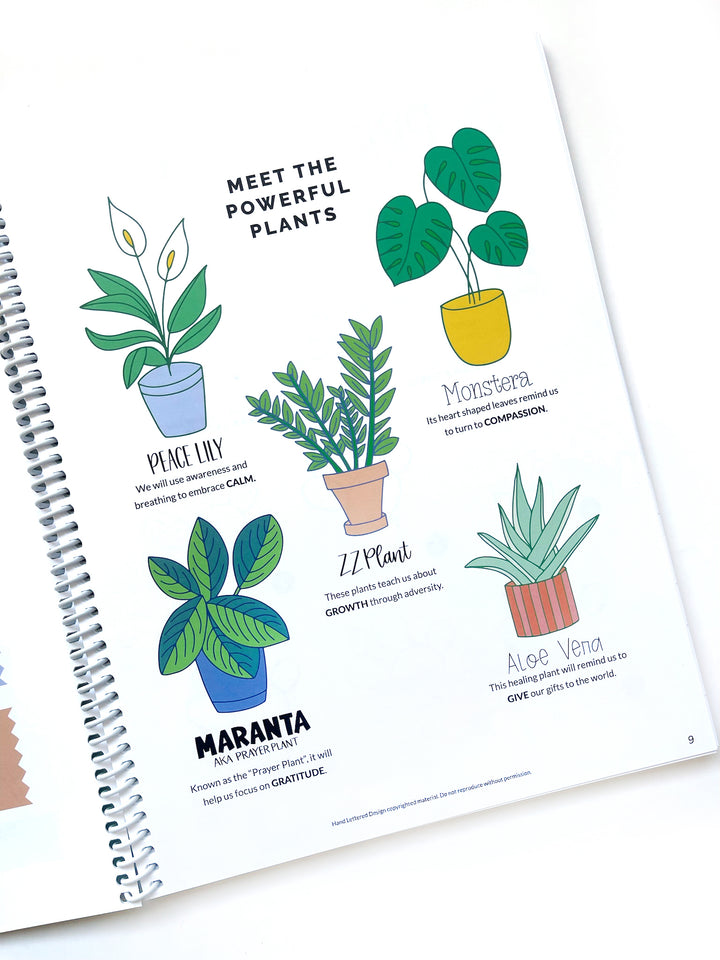 Plant Operations Lettering Mindful Lettering for Fun Kit: Plant Edition – Hand Lettered Design