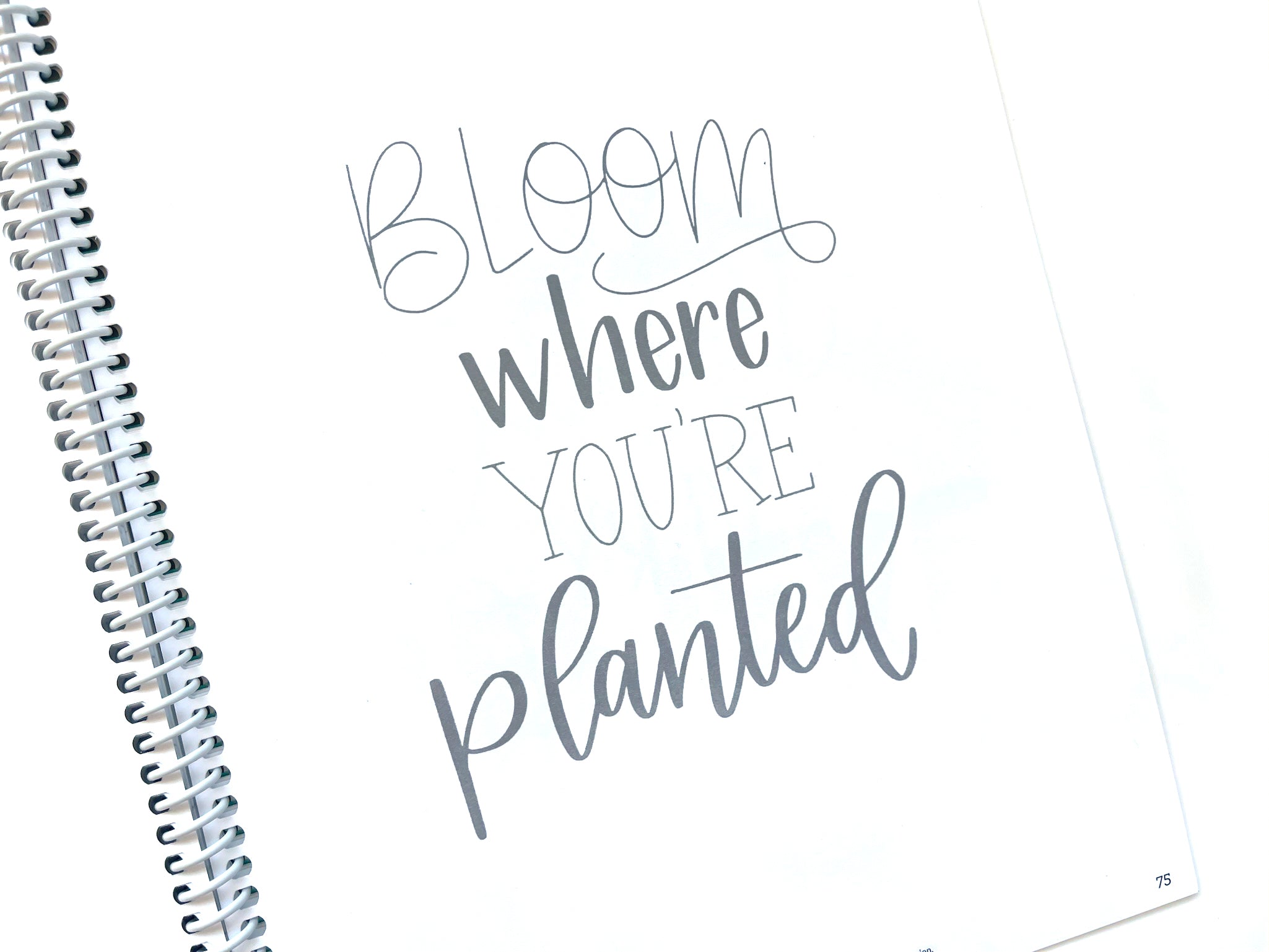 Mindful Lettering for Fun Kit: Plant Edition – Hand Lettered Design