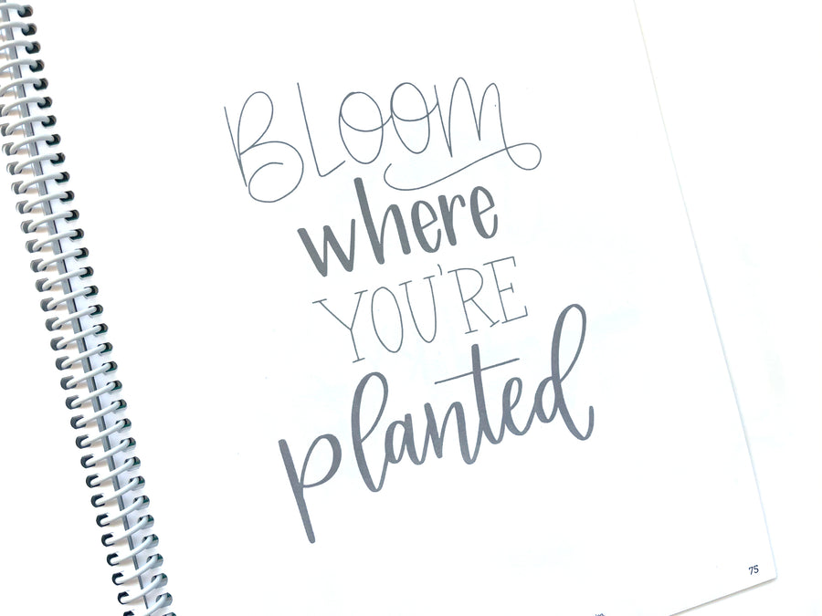 Mindful Lettering for Fun: Plant Edition – Hand Lettered Design