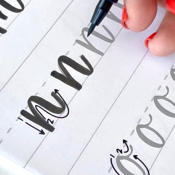 Mindful Lettering for Fun Kit: Plant Edition – Hand Lettered Design