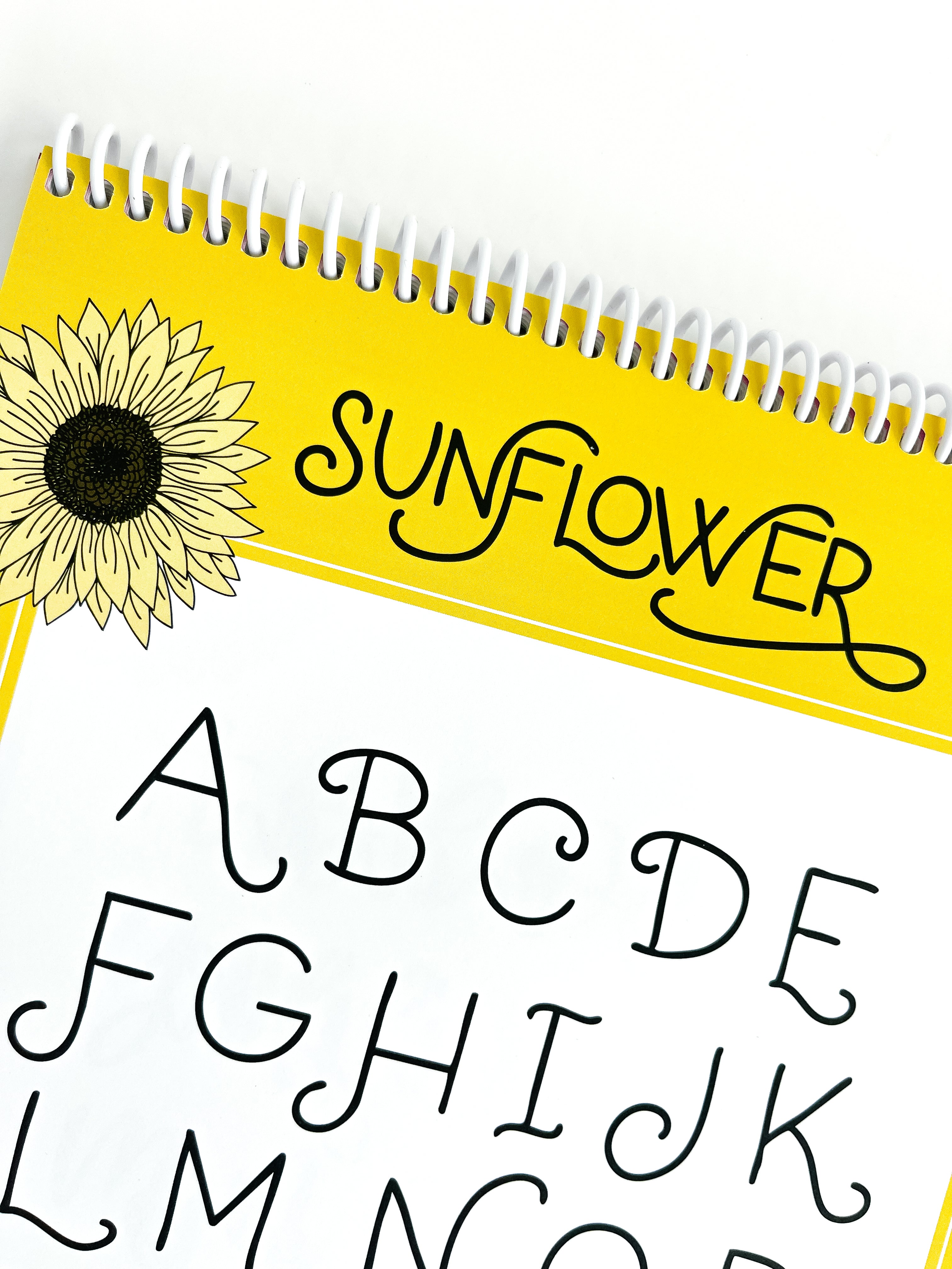 Mindful Lettering for Fun Kit: Flower Edition