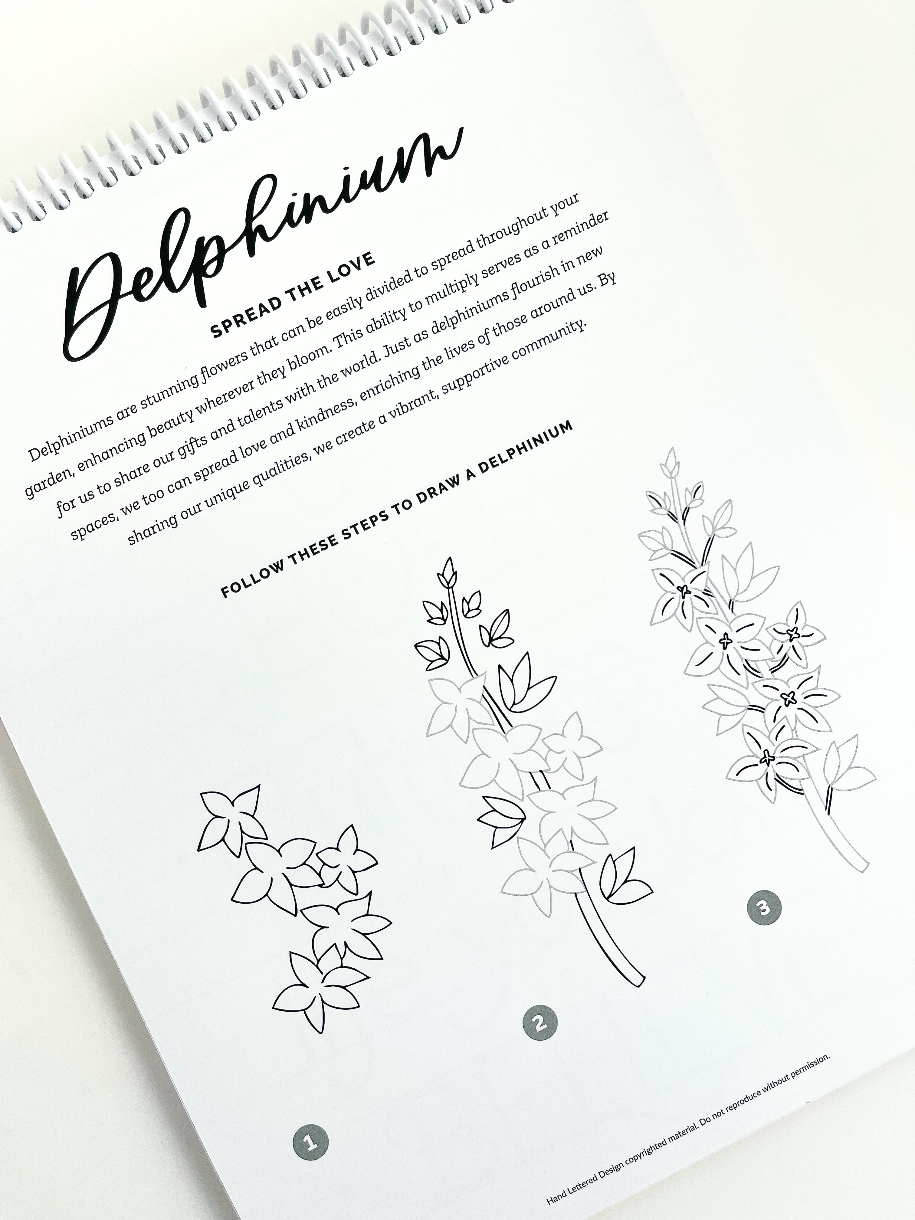 Mindful Lettering for Fun Kit: Flower Edition