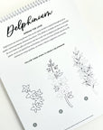 Mindful Lettering for Fun Kit: Flower Edition