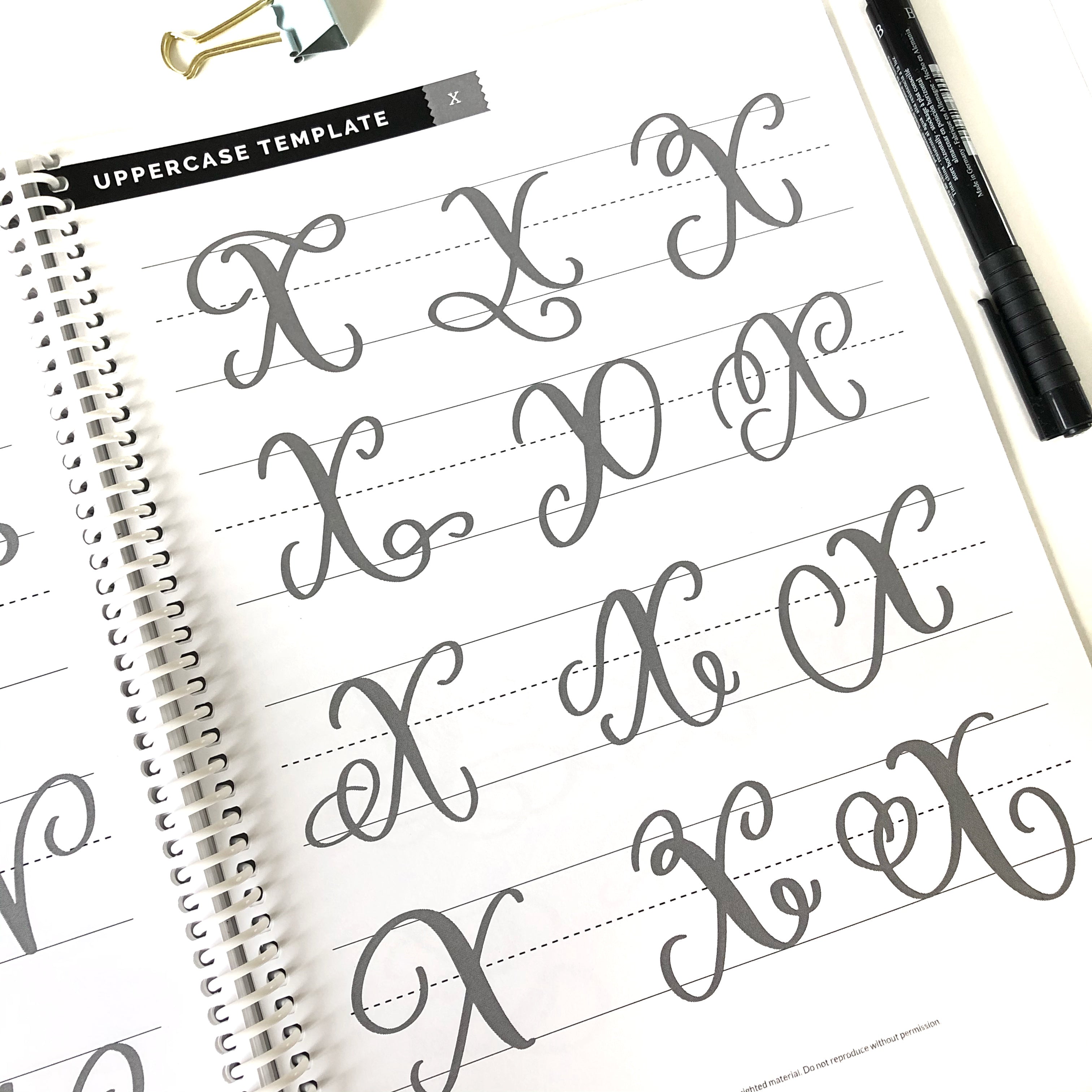 Guide to Flourishing Kit